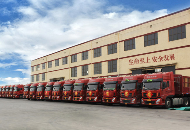 危險(xiǎn)品運(yùn)輸 危險(xiǎn)品運(yùn)輸