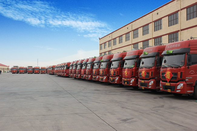 車(chē)隊(duì)展示 車(chē)隊(duì)展示